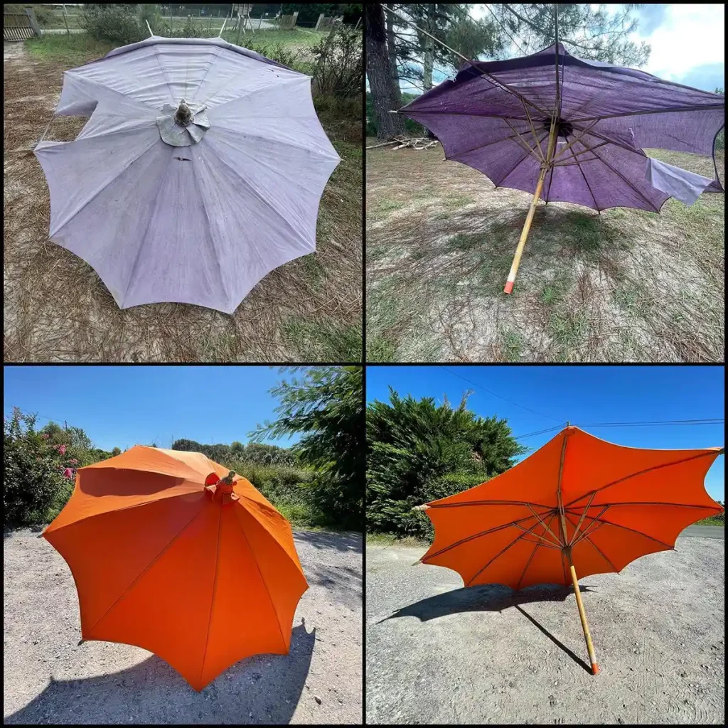 parasol